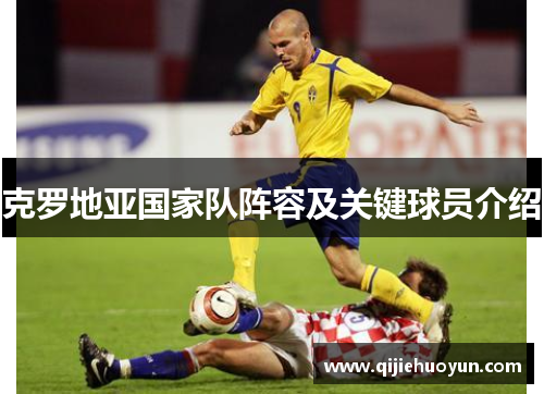 克罗地亚国家队阵容及关键球员介绍