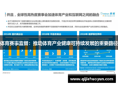 体育赛事监督：推动体育产业健康可持续发展的重要路径